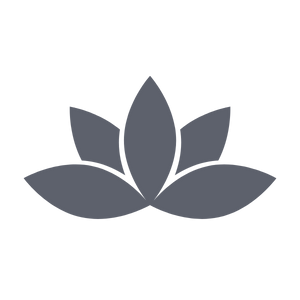wellness-icon-2